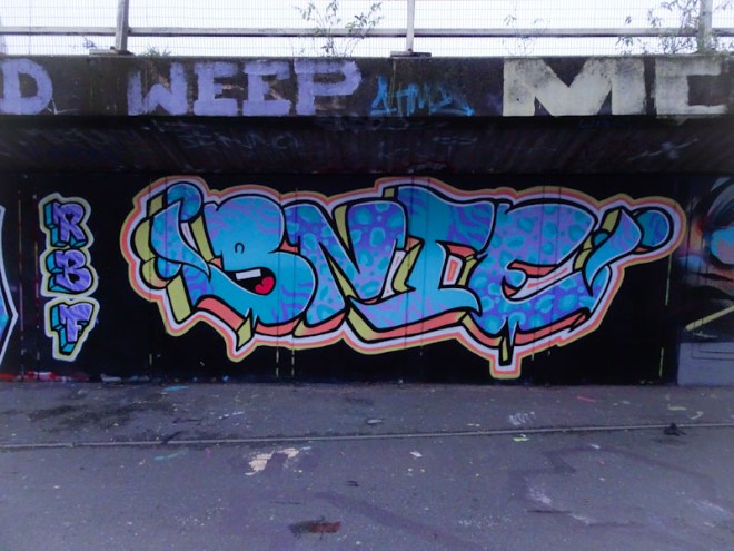 Bnie, M32 Cycle path, Bristol, November 2020