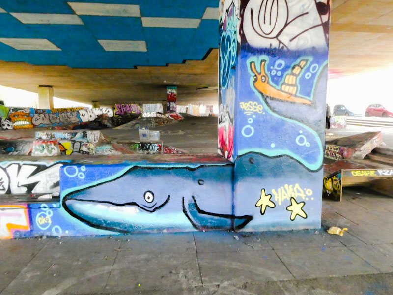 Haka, M32 Spot, Bristol, February 2023