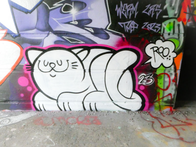 Sky and Roo 0007 5 March 2023_edited