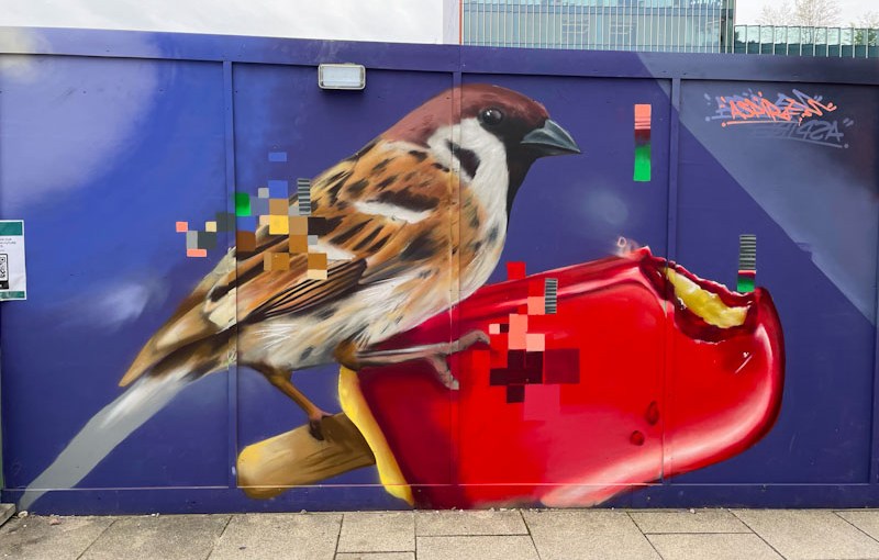 5201. Lighthouse Community Garden, London&nbsp;(1)