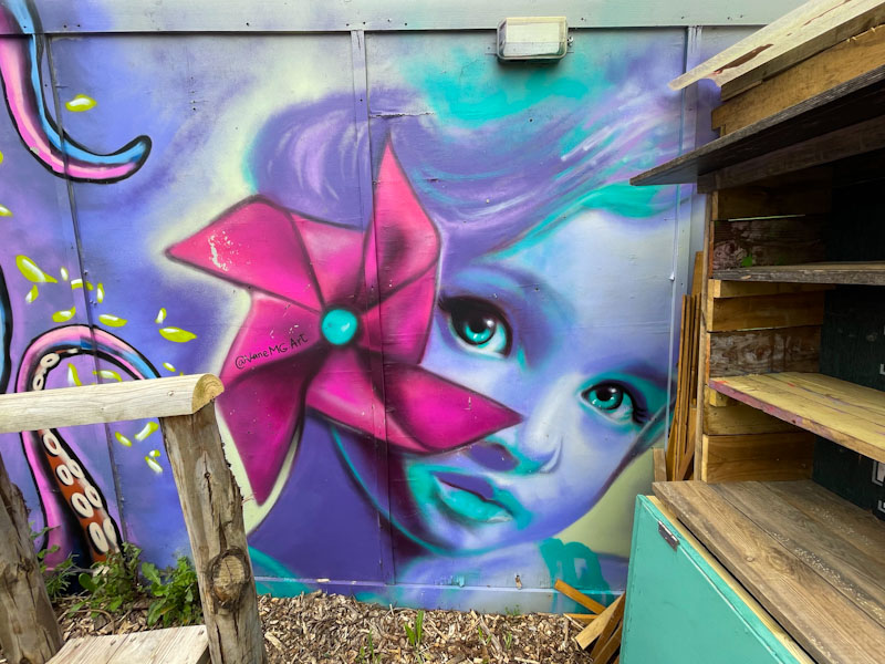 Vane MG, Lighthouse Community Garden, London, April 2023