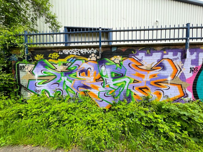 Werm, River Avon, Brtistol, May 2023