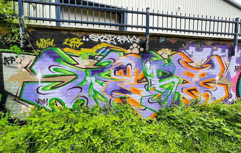 Werm, River Avon, Brtistol, May 2023