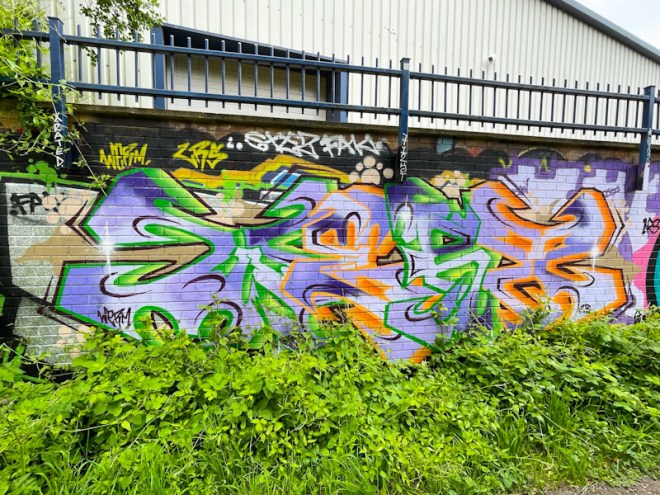 Werm, River Avon, Brtistol, May 2023