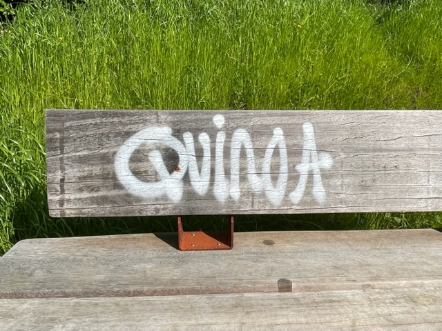 Quinoa