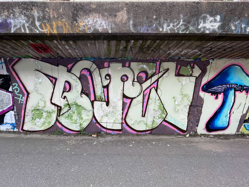 Dog Bless the Band, M32 Cycle path, Bristol, July 2023