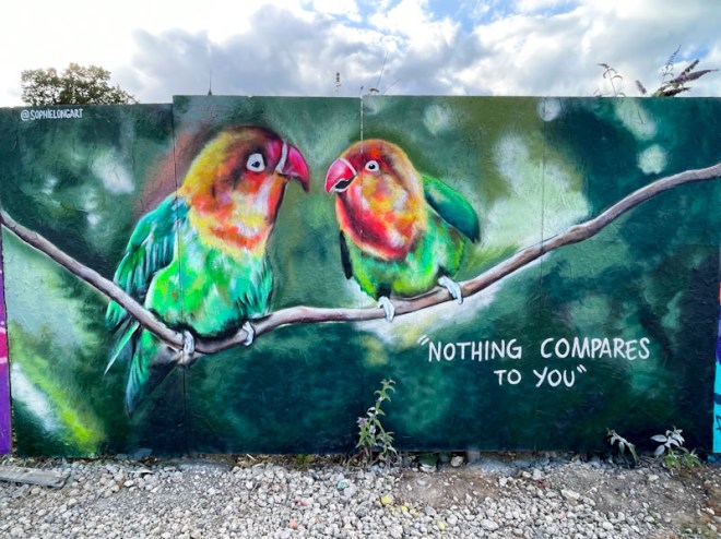 Sophie Long, Cheltenham Paint Festival 23. Cheltenham, July 2023