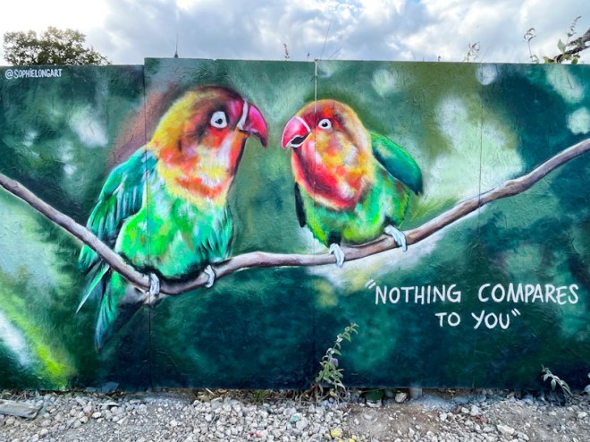 Sophie Long, Cheltenham Paint Festival 23. Cheltenham, July 2023