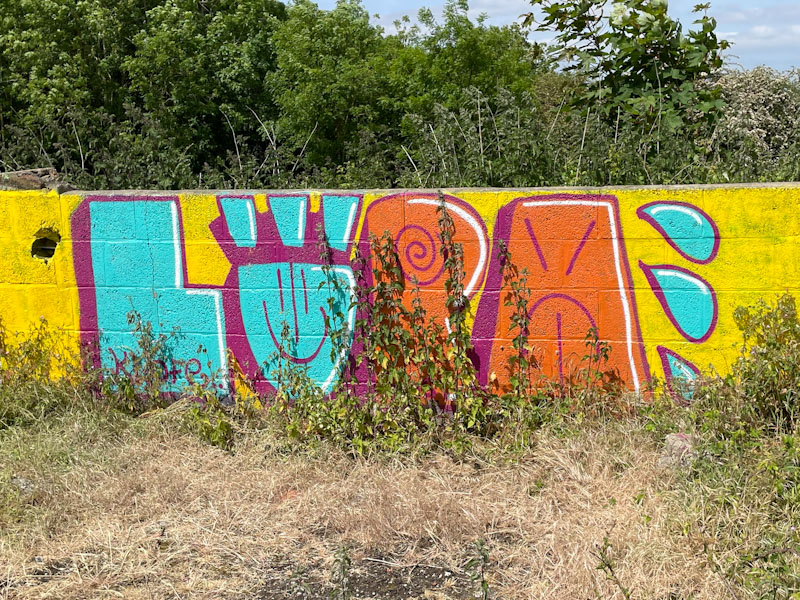 Lupa, Purdown, Bristol, May 2023