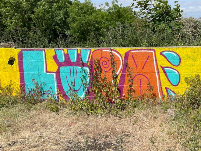 Lupa, Purdown, Bristol, May 2023