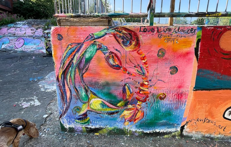 5383. Dean Lane skate park&nbsp;(624)