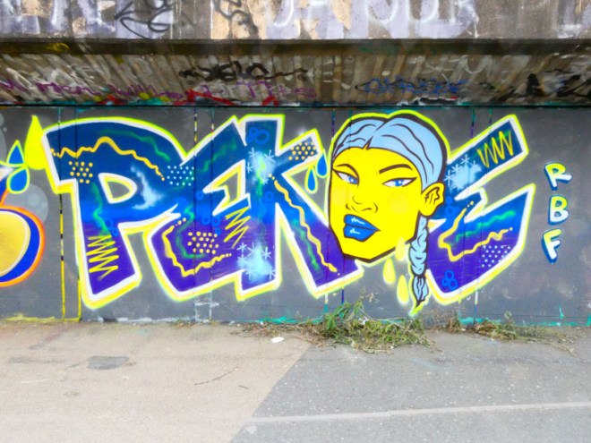 Pekoe, M32 Cycle path, Bristol, July 2023