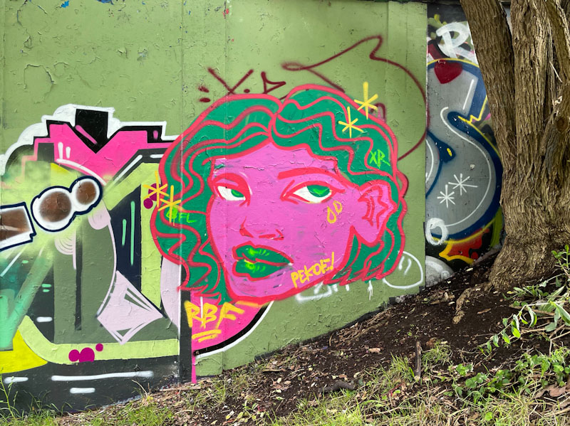 Pekoe, M32 roundabout, Bristol, July 2023