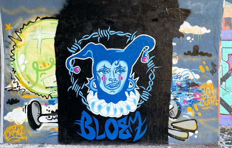 5448. St Werburghs tunnel&nbsp;(378)