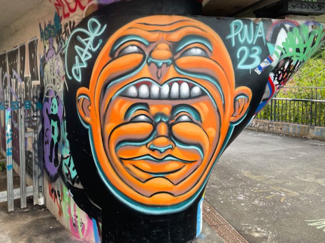 Zake, River Avon, Bristol, August 2023