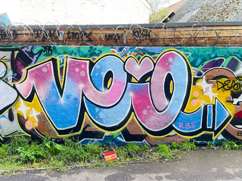 Desi, M32 Cycle path, Bristol, August 2023