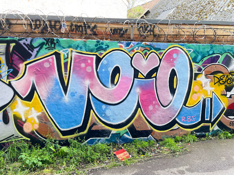 Desi, M32 Cycle path, Bristol, August 2023