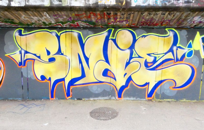 Bnie, M32 Cycle path, Bristol, July 2023