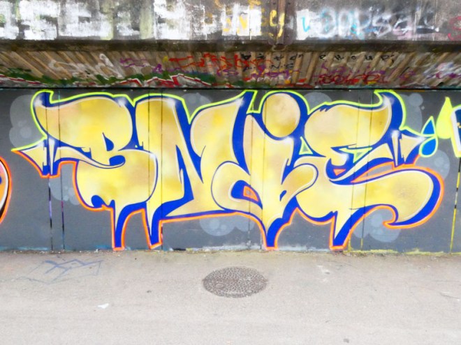 Bnie, M32 Cycle path, Bristol, July 2023