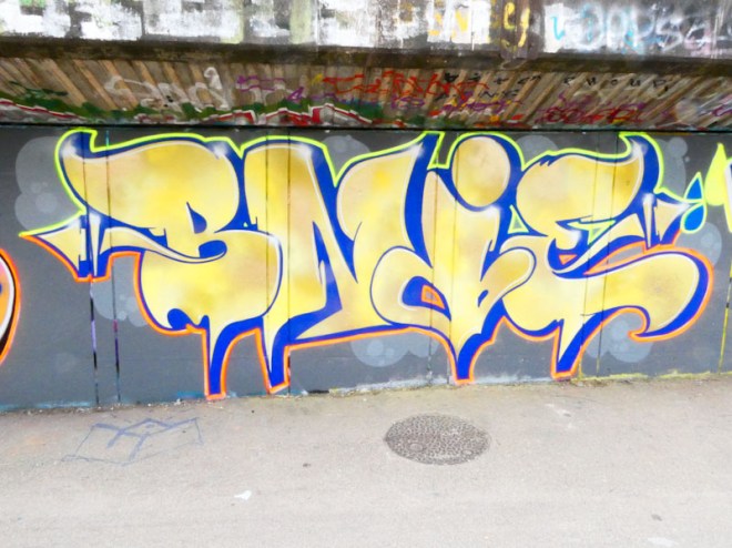 Bnie, M32 Cycle path, Bristol, July 2023