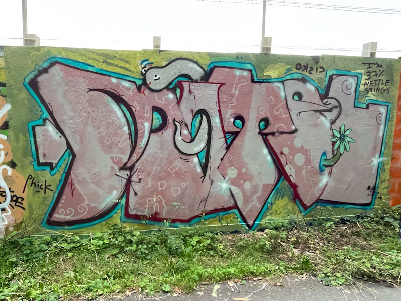 Dog Bless the Band, Greenbank, Bristol, September 2023