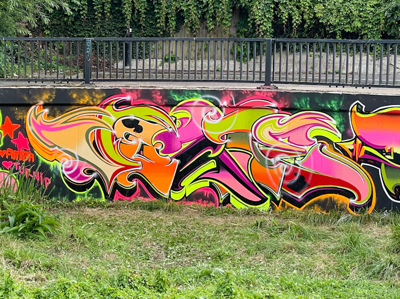 Vozie, Cheltenham Paint Festival, Cheltenham, July 2023