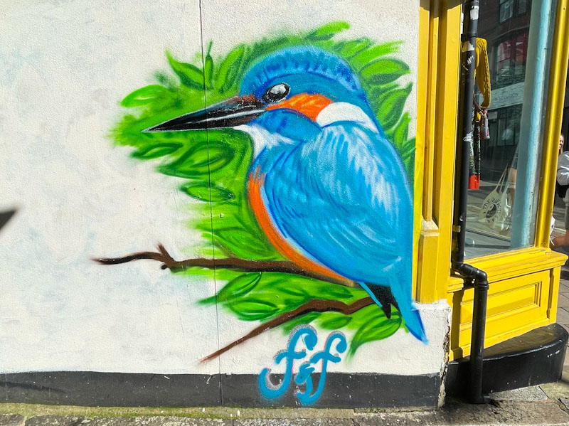 Flora&Fauna, Friernhay Street, Exeter, October 2023