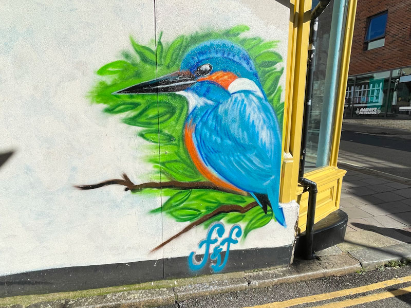 Flora&Fauna, Friernhay Street, Exeter, October 2023