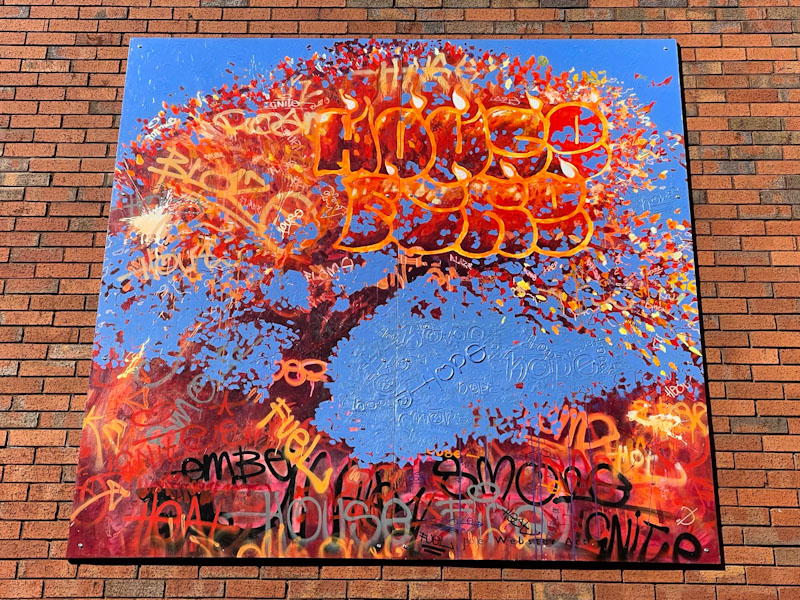 Joe Webster Art, Guildhall Shopping Centre, Exeter, October 2023