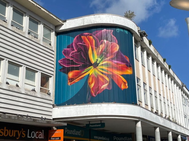 Sophie Mess, Sidwell Street, Exeter, October 2023