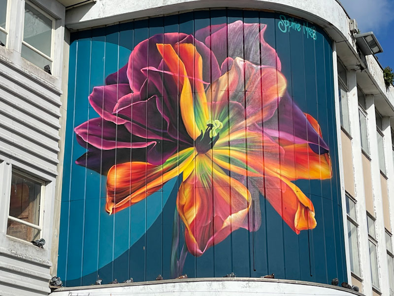 Sophie Mess, Sidwell Street, Exeter, October 2023