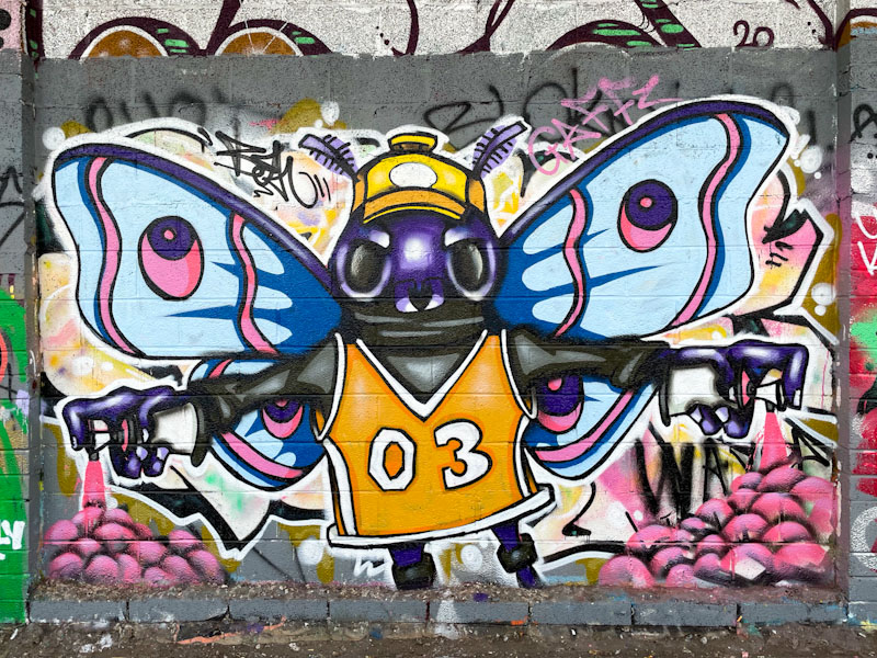 Bean, M32 Cycle path, Bristol, October 2023