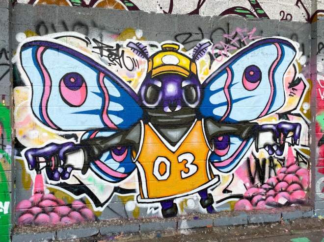 Bean, M32 Cycle path, Bristol, October 2023