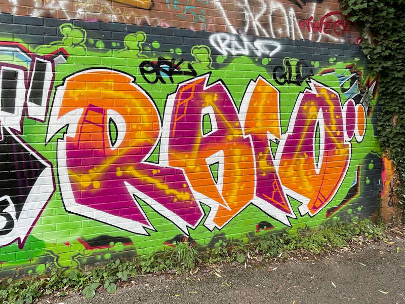 Raid, River Avon, Bristol, October 2023
