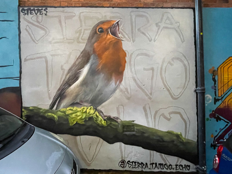 Steve (STE), Nottingham, November 2023