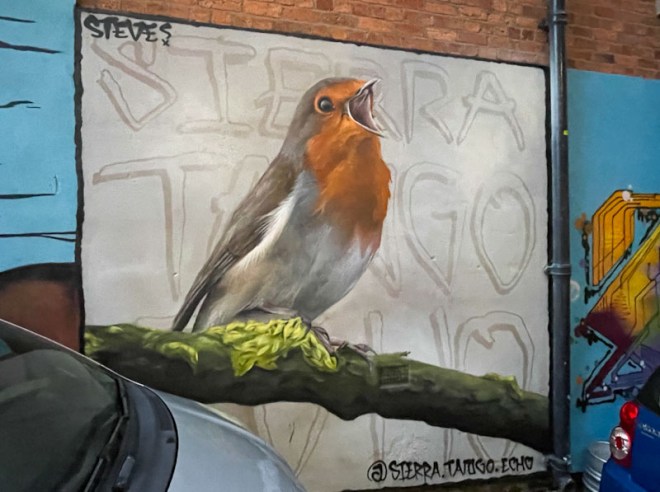 Steve (STE), Nottingham, November 2023