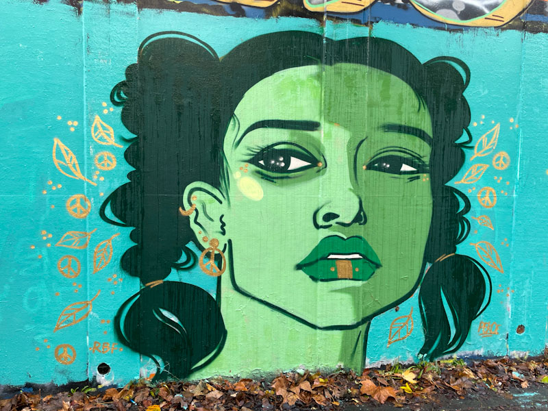 Pekoe, M32 roundabout, Bristol, December 2023