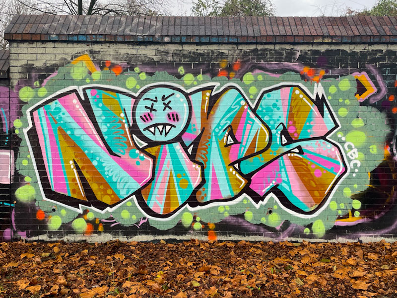 Nips, Sparke Evans Park, Bristol, December 2023