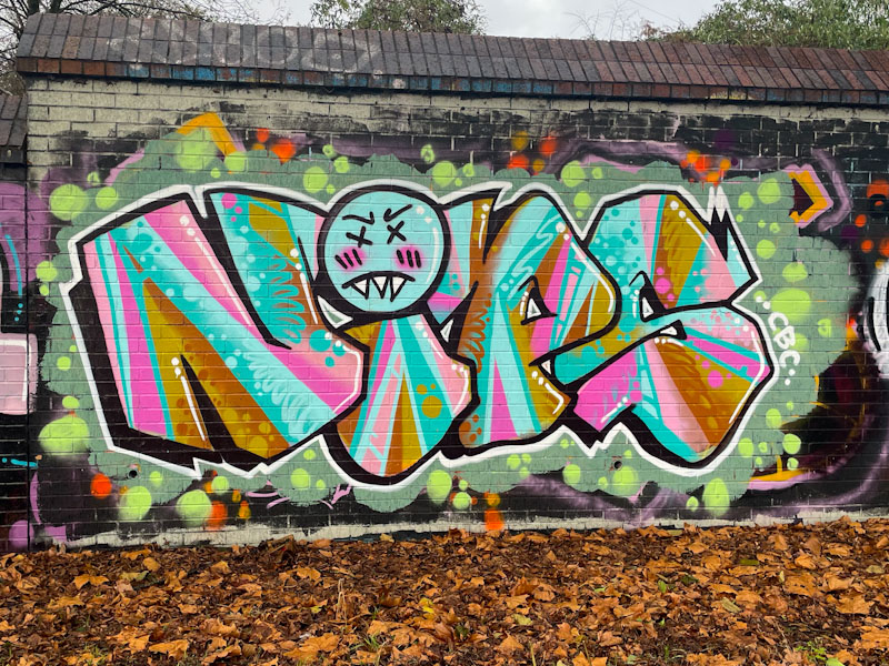 Nips, Sparke Evans Park, Bristol, December 2023