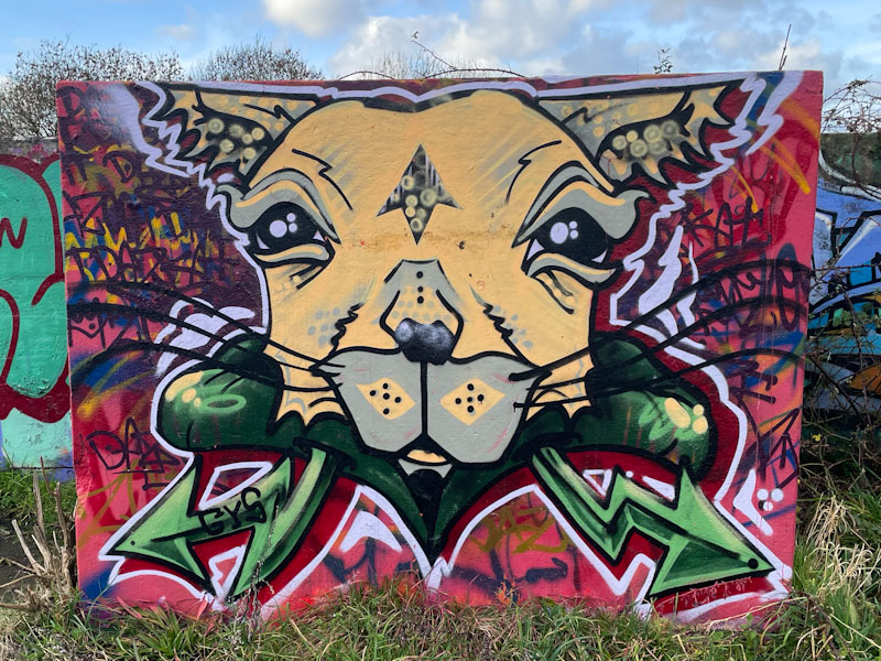 Daz Cat, Purdown, Bristol, December 2023