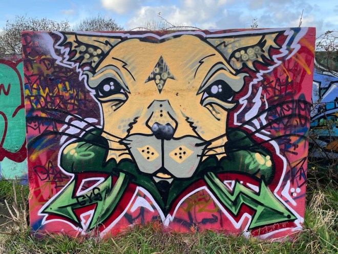 Daz Cat, Purdown, Bristol, December 2023