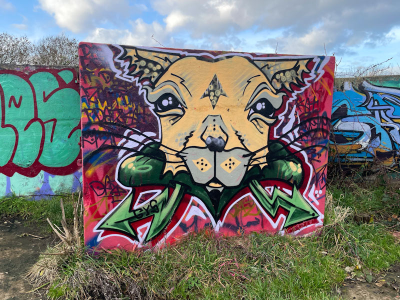 Daz Cat, Purdown, Bristol, December 2023