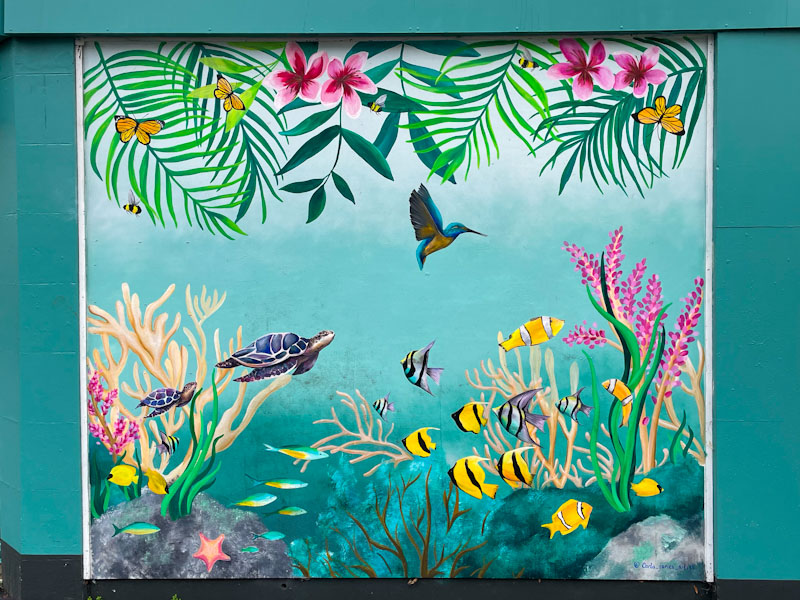 Carla James, Hatherly Road, Bristol, December 2023