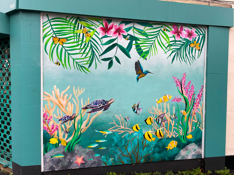 Carla James, Hatherly Road, Bristol, December 2023