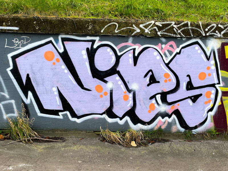 Nips, M32 roundabout J2, Bristol, January 2023