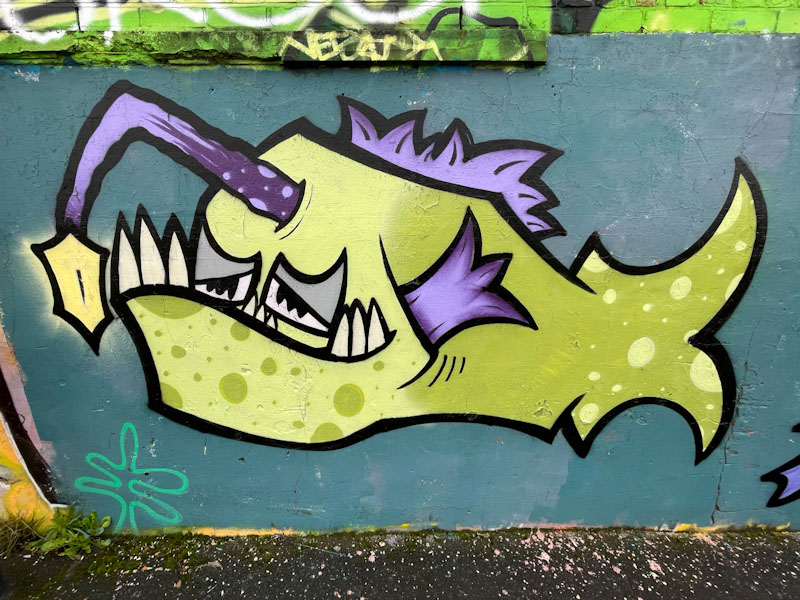 Mr Crawls, River Avon, Bristol, February 2024