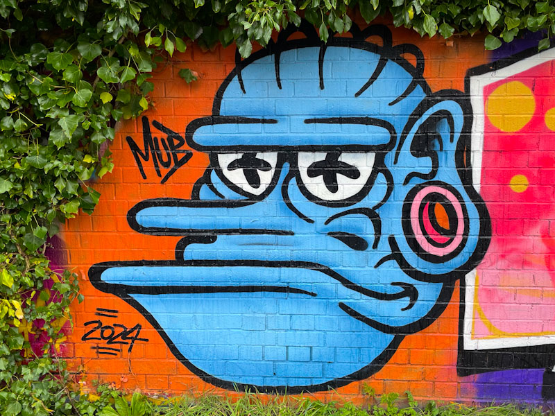 Mr Underbite, River Avon, Bristol, March 2024