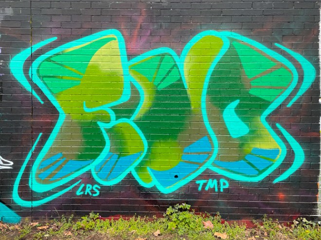 Fino, Sparke Evans Park, Bristol, March 2024