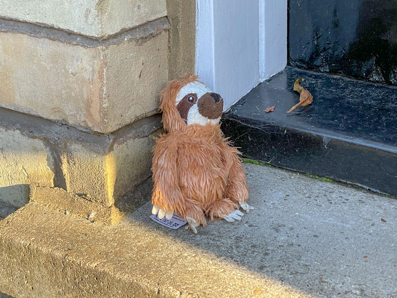 Lost toy, Highgate, London, November 2023