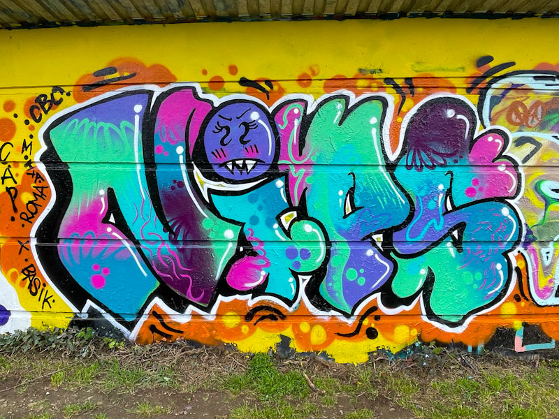 Nips, Cumberland Basin, Bristol, April 2024